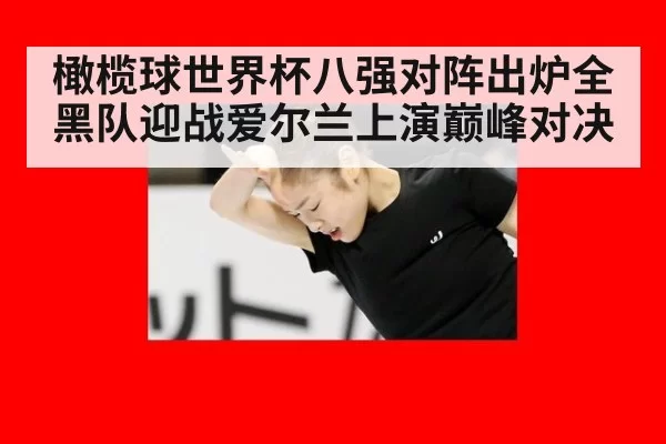 橄榄球世界杯八强对阵出炉全黑队迎战爱尔兰上演巅峰对决