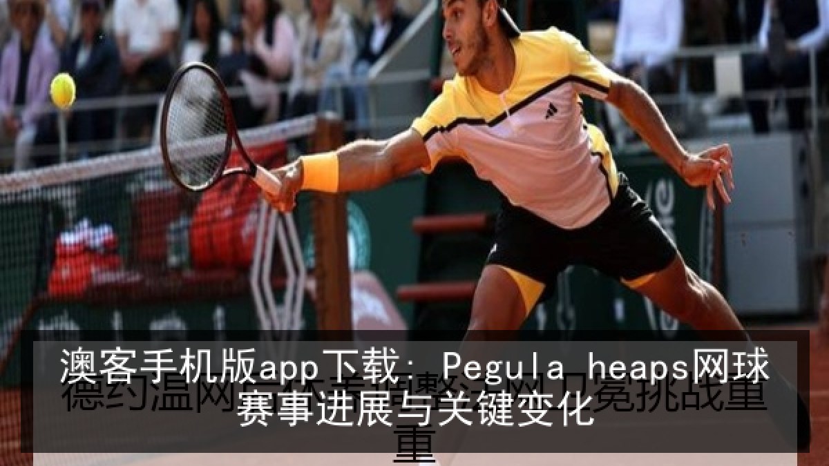 澳客手机版app下载: Pegula heaps网球赛事进展与关键变化